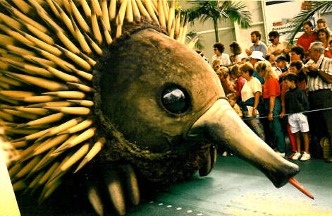 An
                          Australian echidna - ant-eater - joins the Day
                          Parade